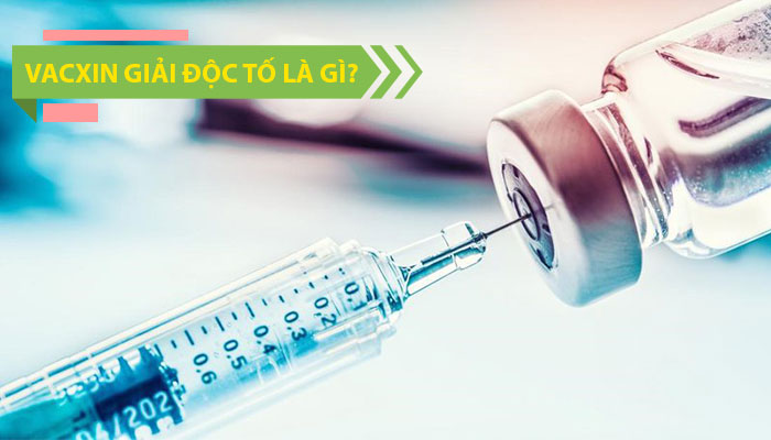 Vacxin giải độc tố là gì? Có an toàn để tiêm chủng