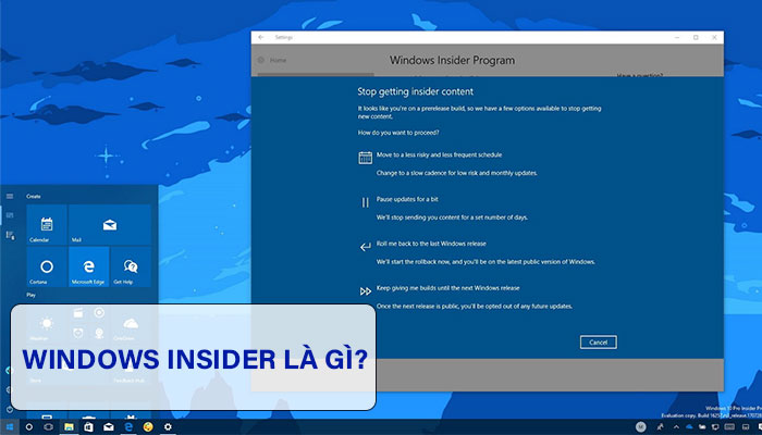 Windows Insider là gì? Ứng dụng của Windows Insider?